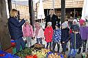 Grupa integracyjna Kaczuszki poznaje owoce i warzywa na Zielonym Rynku