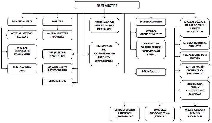 schemat organizacyjny