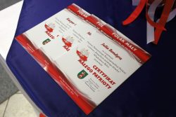 Mały Patriota - Przedszkole Samorządowe Nr 2 „Sportowo-Artystyczna Akademia Uśmiechu” w Tomaszowie Lubelskim