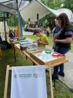 II Dni Roztocza
