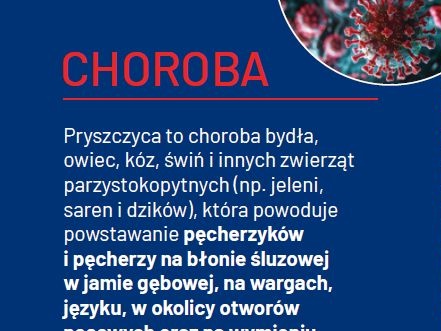 PRYSZCZYCA wspólne działanie, wspólne bezpieczeństwo