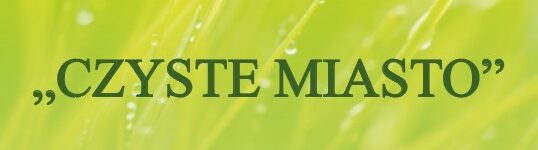 AKCJA CZYSTE MIASTO